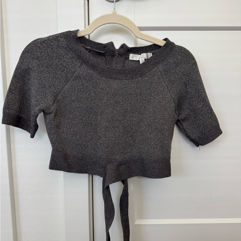 Gray Short Sleeve Crop Top